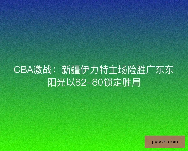 CBA激战：新疆伊力特主场险胜广东东阳光以82-80锁定胜局